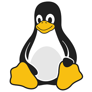 Server Linux Debian