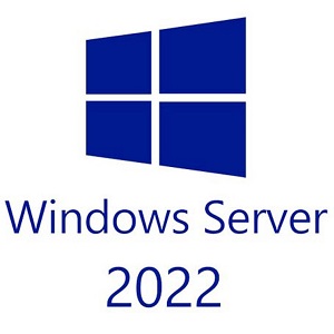 Microsoft Windows Server 2022
